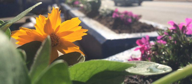 outdoor patio header